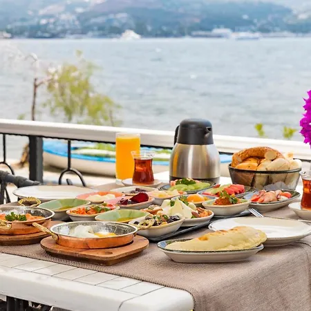 Elite 얄리카베크